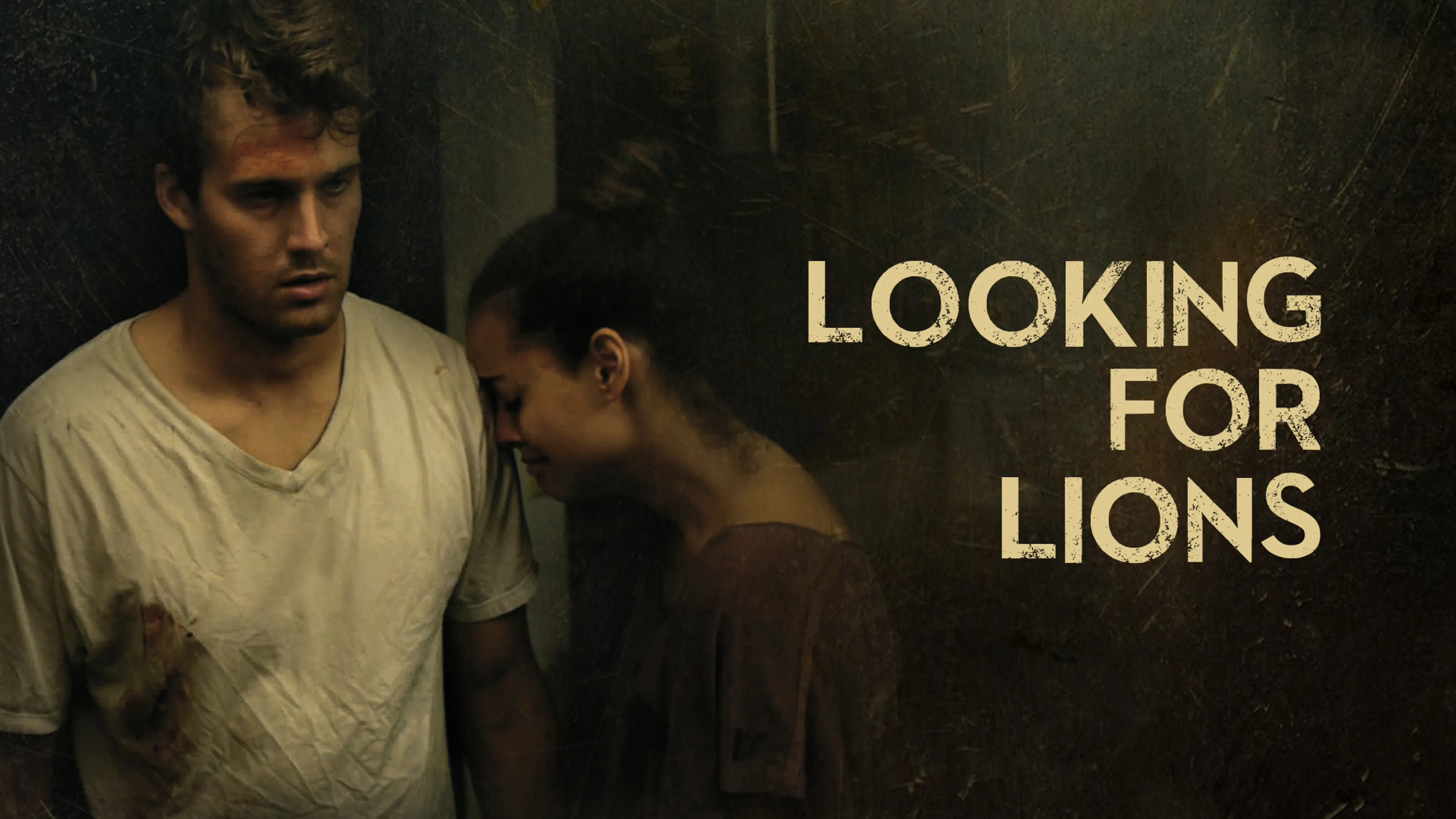 Looking for Lions poster